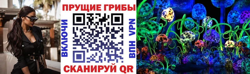 Псилоцибиновые грибы мицелий  Купить  Солнечногорск 
